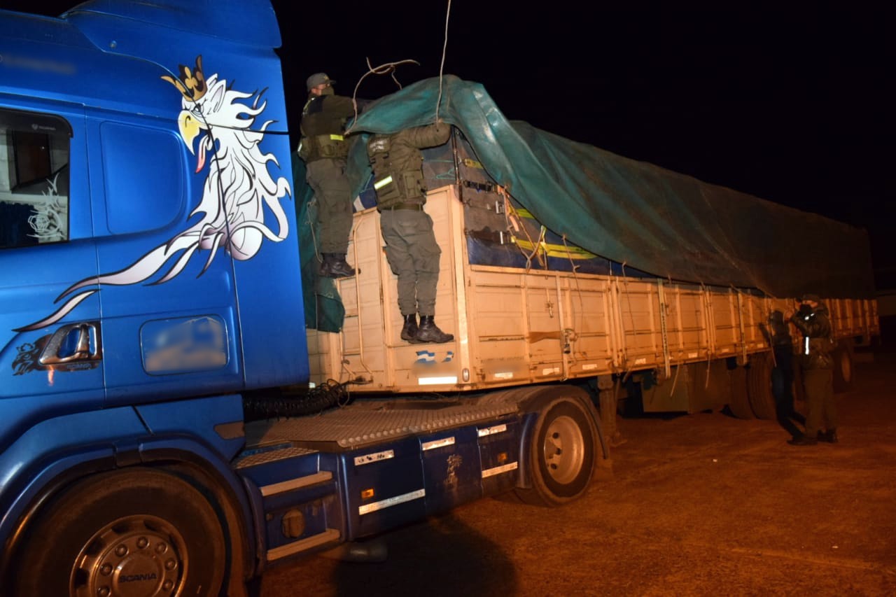 Secuestran 451 toneladas de soja y 28 toneladas de maíz trasladados en 14 camiones