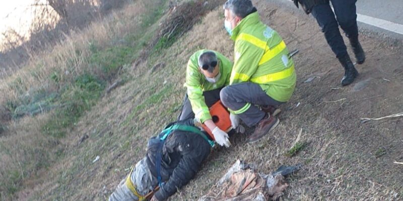 Es albañil, iba caminando a su trabajo en La Plata y fue atropellado por un auto que se dio a la fuga