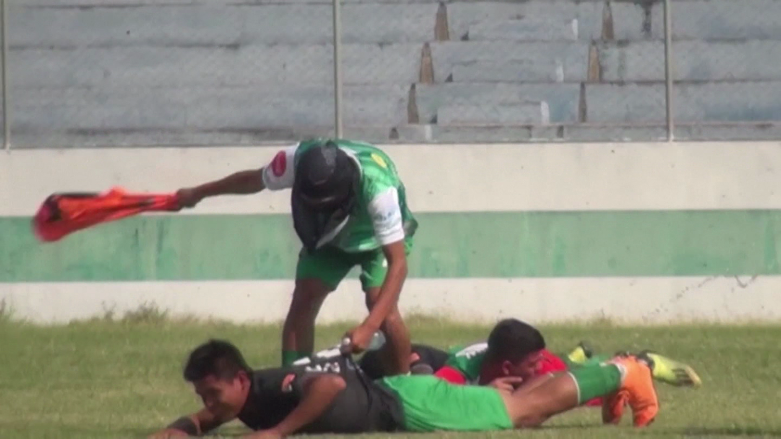 Video: suspenden partido de fútbol en Bolivia por ataque de abejas a jugadores