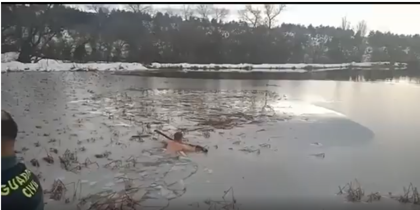 VIDEO: policías se tiran al agua helada en ropa interior para salvar a un perro