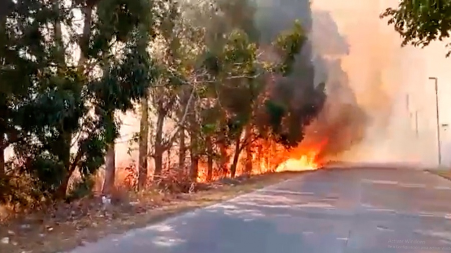 Incendios en Ezeiza: luchan contra el fuego y hay preocupación en barrios privados cercanos