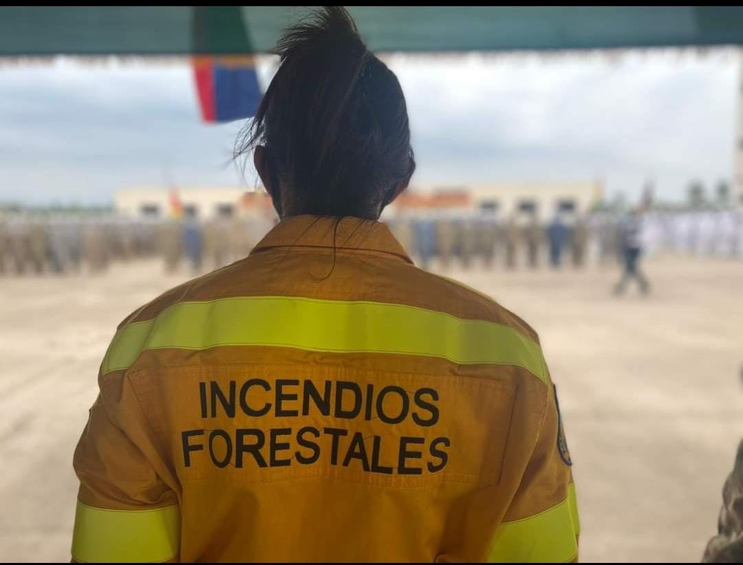 Bolivia enviará brigadistas para combatir el fuego en Corrientes