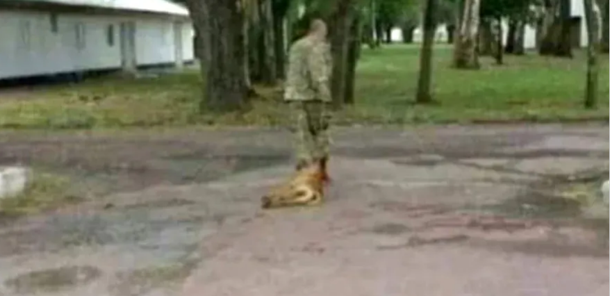 Olavarría: encontraron muerto al militar acusado de torturar y asesinar al perro “Malevo”￼
