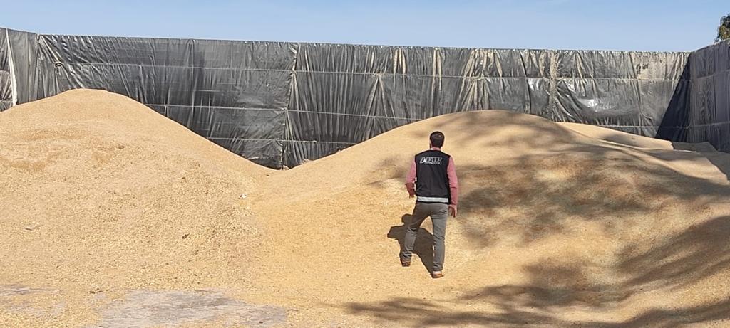 Afip detectó más de 2.900 toneladas de granos no declarados