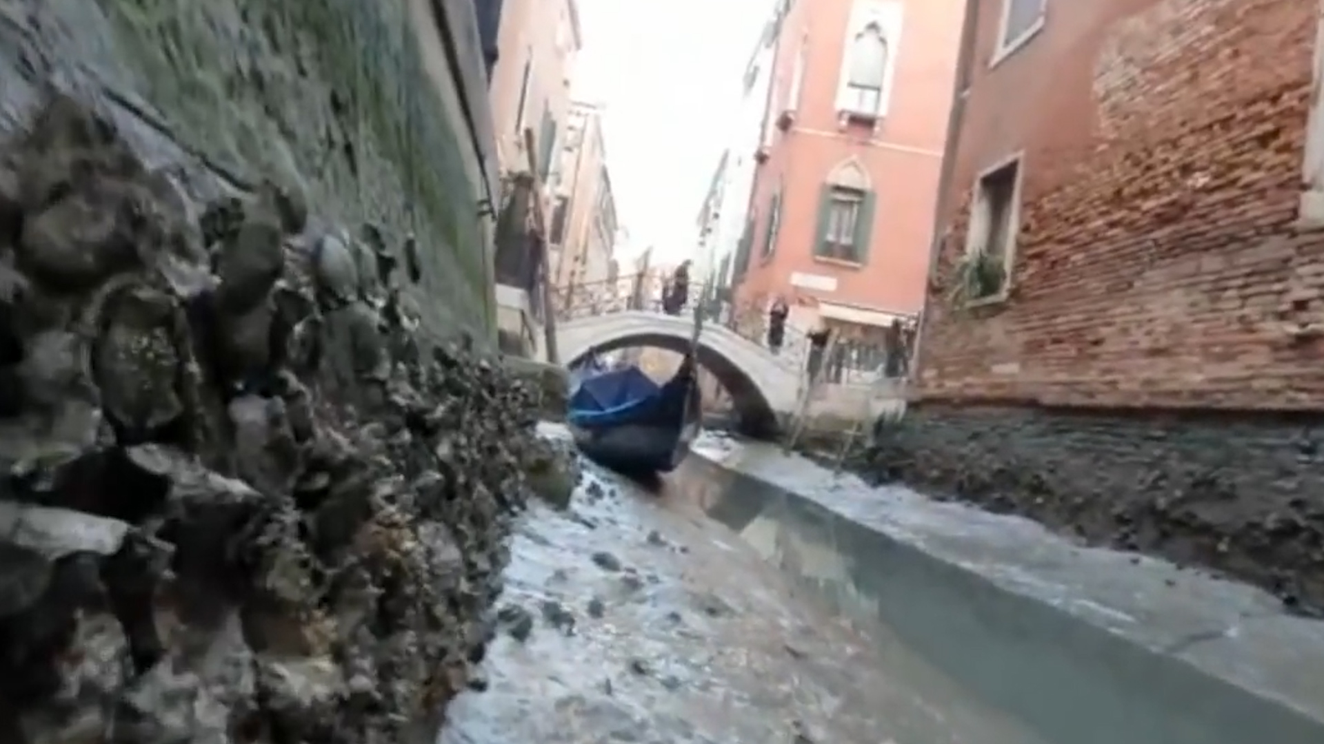Sequía en Italia: los canales de Venecia se quedaron sin agua