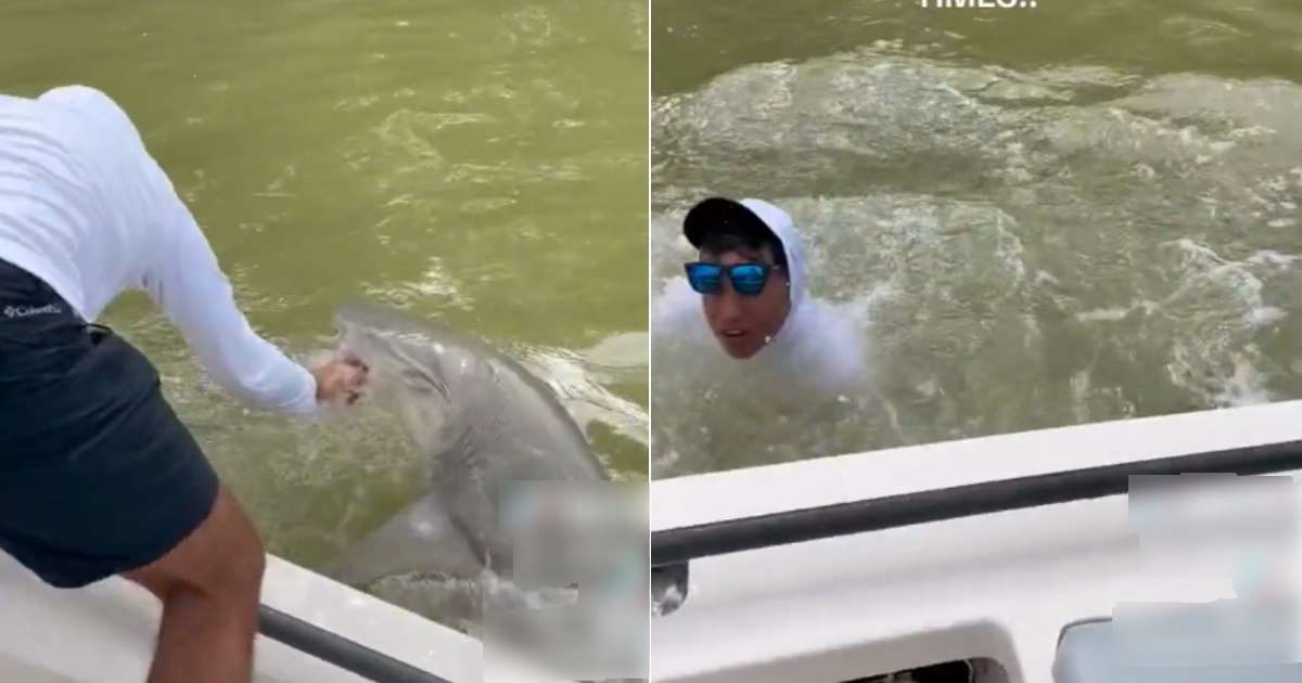 Video: un tiburón atacó y arrastró a un pescador