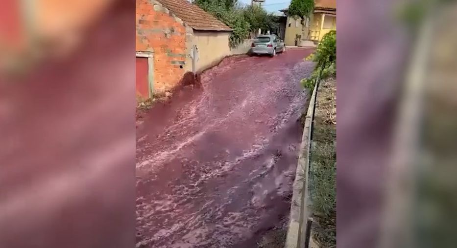 Dos millones de litros de vino tinto inundaron las calles de un pueblo de Portugal