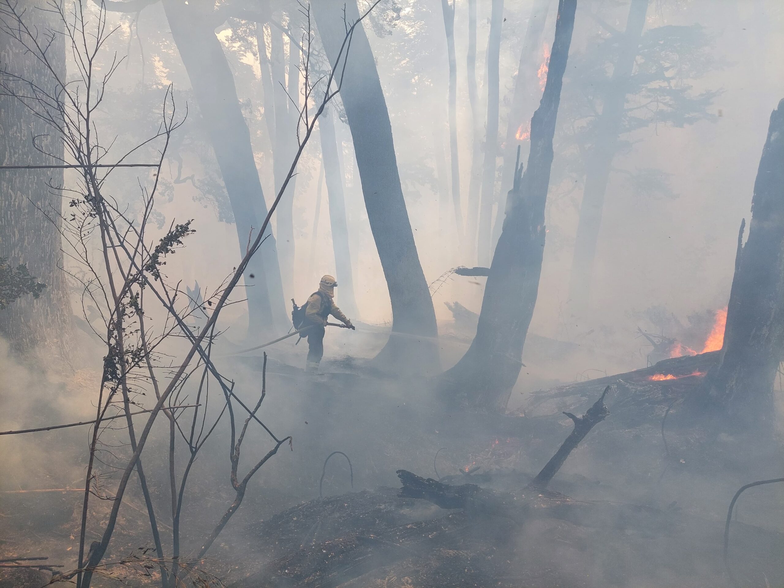 El incendio forestal Parque Nacional Nahuel Huapi sigue activo “en todo su perímetro”