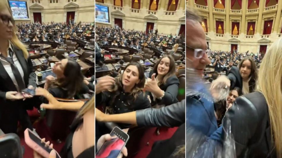 Tensión entre diputadas libertarias: Lilia Lemoine se cruzó con Marcela Pagano y le tiraron un vaso de agua