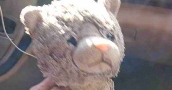 Una familia fue extorsionada y pagó $200 mil pesos para recuperar el peluche de su hijo con autismo
