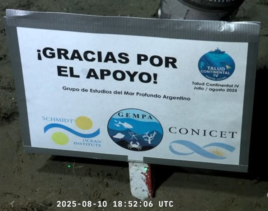 Orgullo por la universidad pública y el CONICET: así fue el final del streaming del fondo del mar