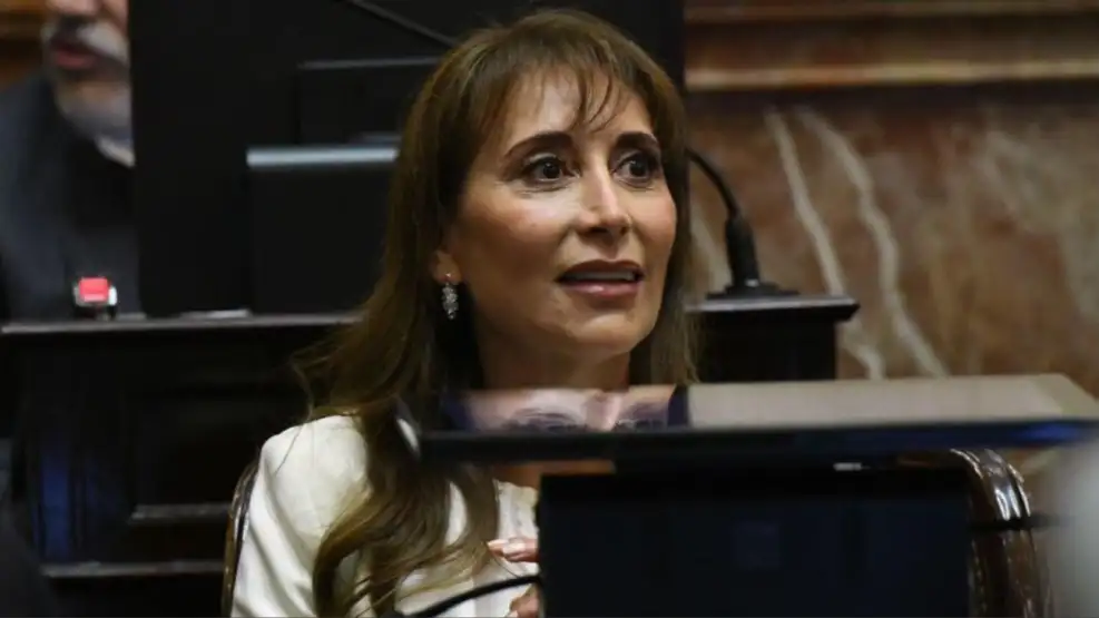 Papelón y violencia: una senadora acusó a la seguridad del Congreso de lesiones y agresión sexual