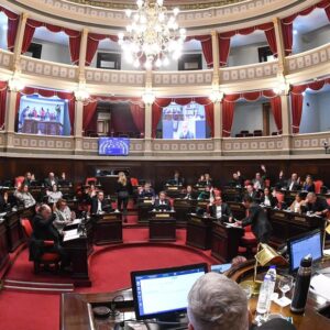 Cambio de planes en el Senado: el proyecto de Régimen Penal Juvenil se tratará el viernes