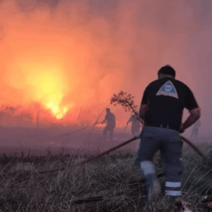 Incendio forestal en Mar del Plata: más de 200 hectáreas arrasadas
