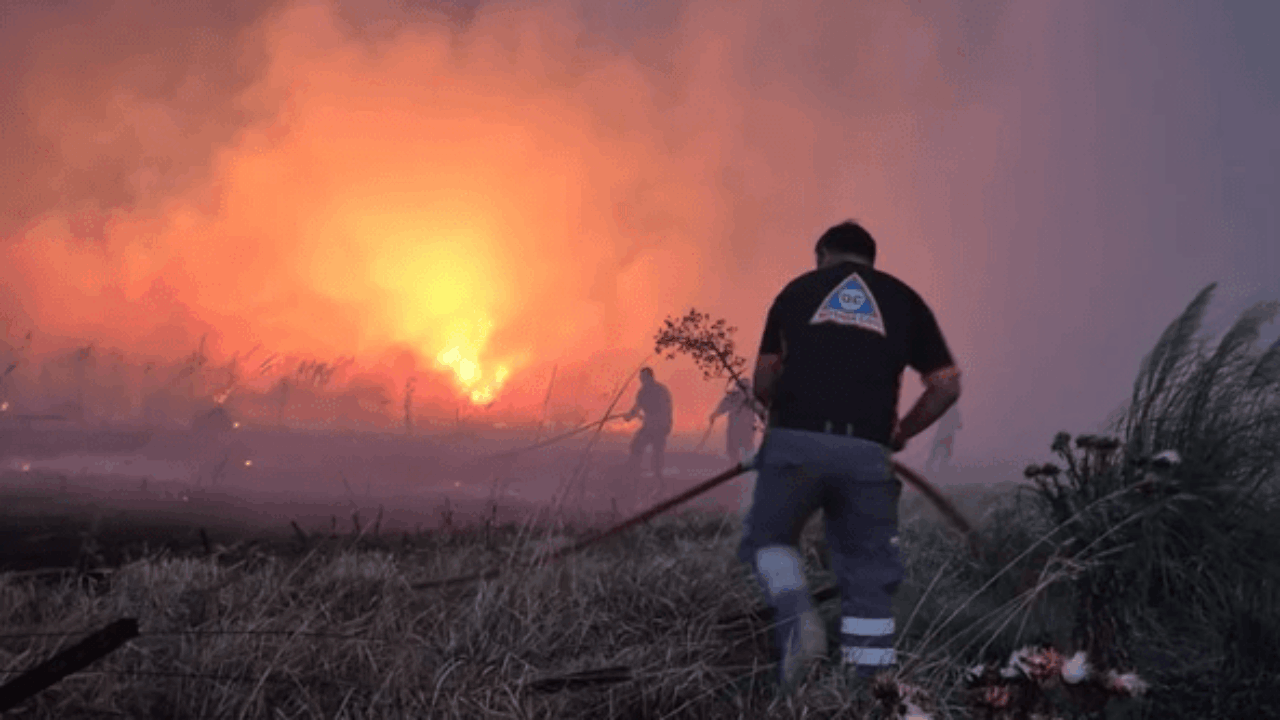 Incendio forestal en Mar del Plata: más de 200 hectáreas arrasadas