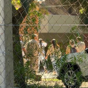 Alumno entró a los tiros a una escuela: mató a un compañero e hirió a otros dos