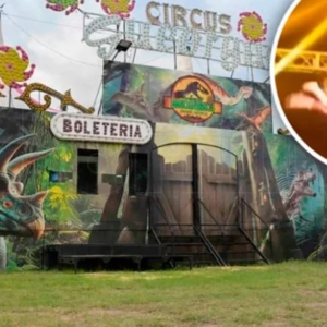 Video: brutal caída de un acróbata en un circo de San Luis