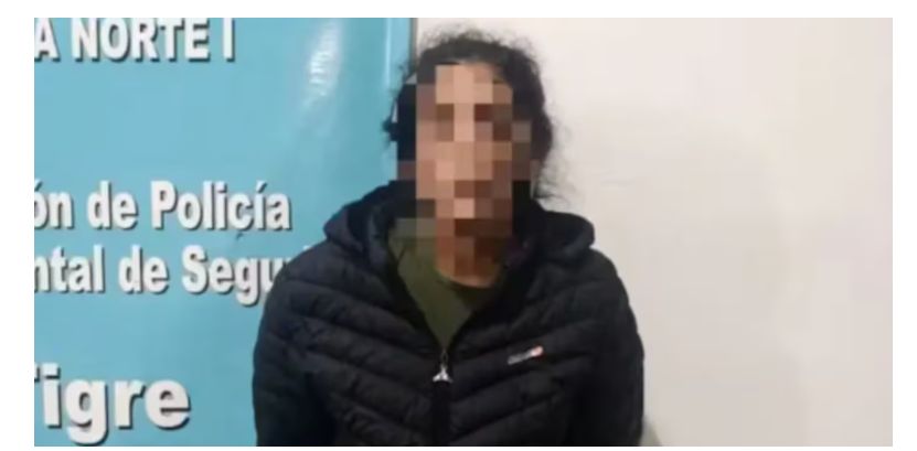 Encarcelaron a abogada acusada de matar a su madre e intentar asfixiar a su propio hijo