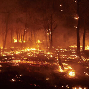 España: el Gobierno declaró la emergencia nacional por incendios forestales y hay más de 20.000 evacuados