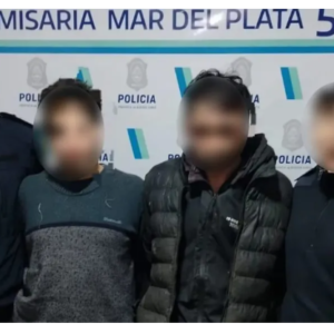Sangre en las manos y lesiones: las pruebas que complican a los detenidos por el crimen de Mar del Plata